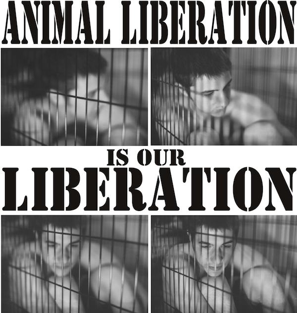Animal Liberation Poster
