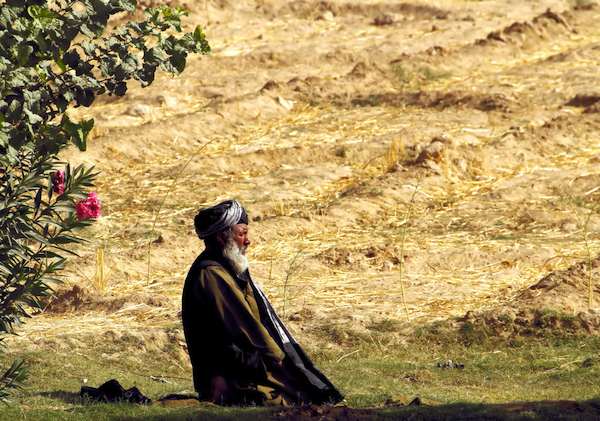 Old man praying on farm in Afghanistan