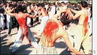 Shia flagellation