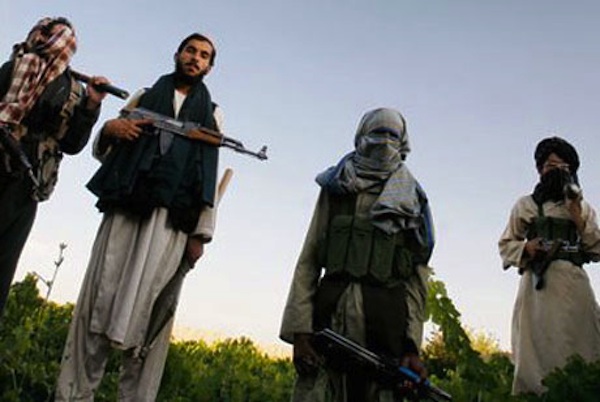 Taliban and al Qaeda in Afganistan