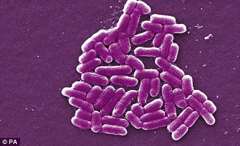 The germ of an idea