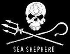 sea-shepherd-conservation-society