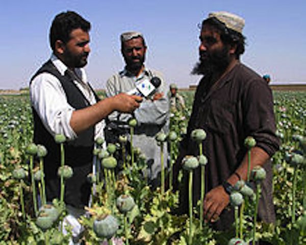 Afghanistan Poppy cultivators