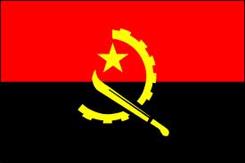 Angolan Defense Force