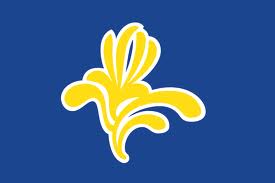 Brussels flag1
