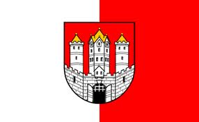 Salzburg flag