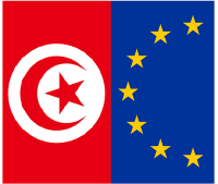 Tunisian Combatant Group