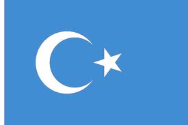 TurkistanEastern flag