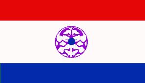 KNPP flag