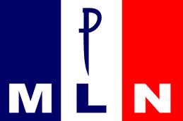MLM flag