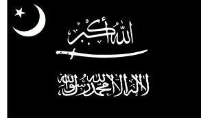 Muslim Lib Ary flag