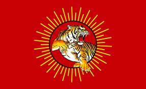 Naam Thamilar flag
