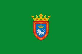 Pamplona flag