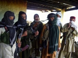 Al Qaeda in Afghanistan | TRAC