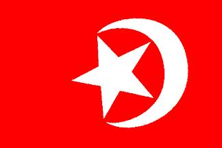 Black Muslim flag