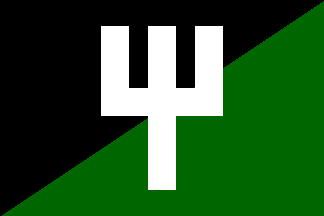 N-SA flag