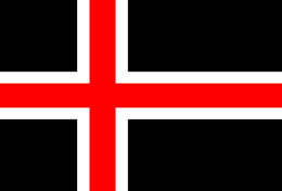 Nordic National Party flag