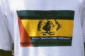 People's United Democratic Movement - Swaziland (PUDEMO) flag