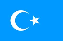 Uyghurstan Flag