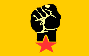 AZAPO flag