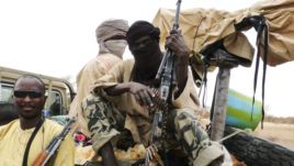 Mali militia