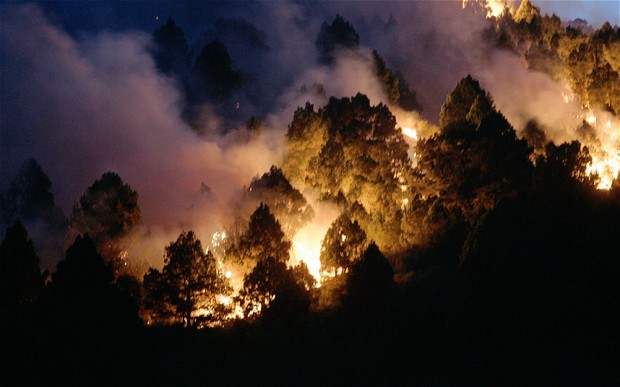 forestfires_2359259b