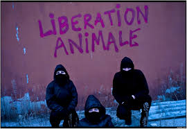 animal liberation
