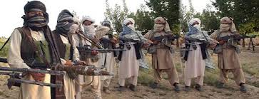 TTP warriors