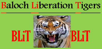 Baloch Liberation Tigers