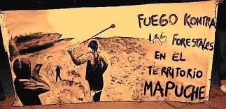 Mapuche resistance