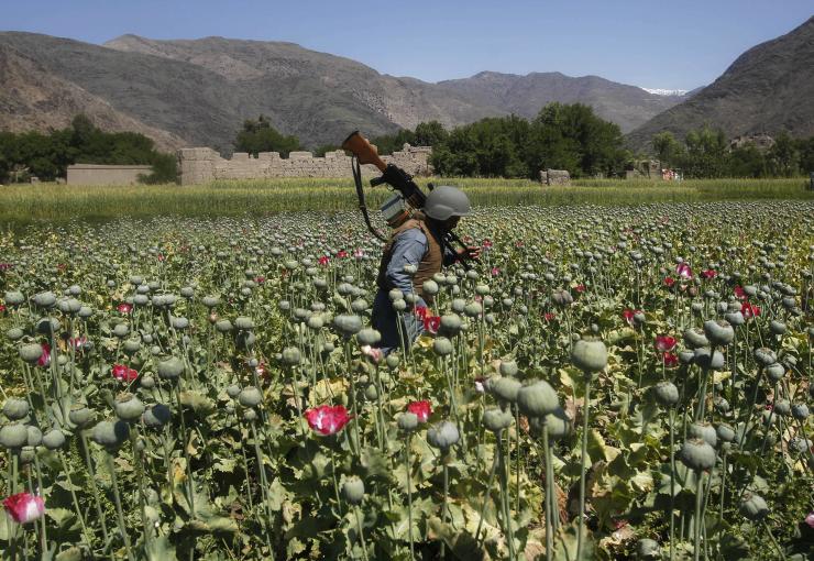 afghanistan-opium-2014