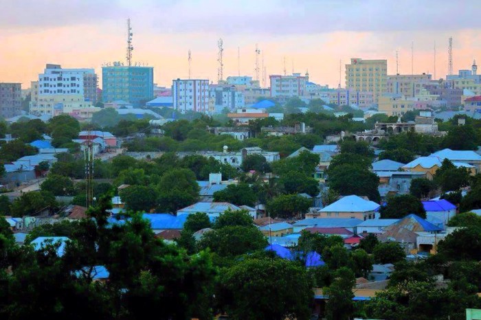Mogadishu-Returnees