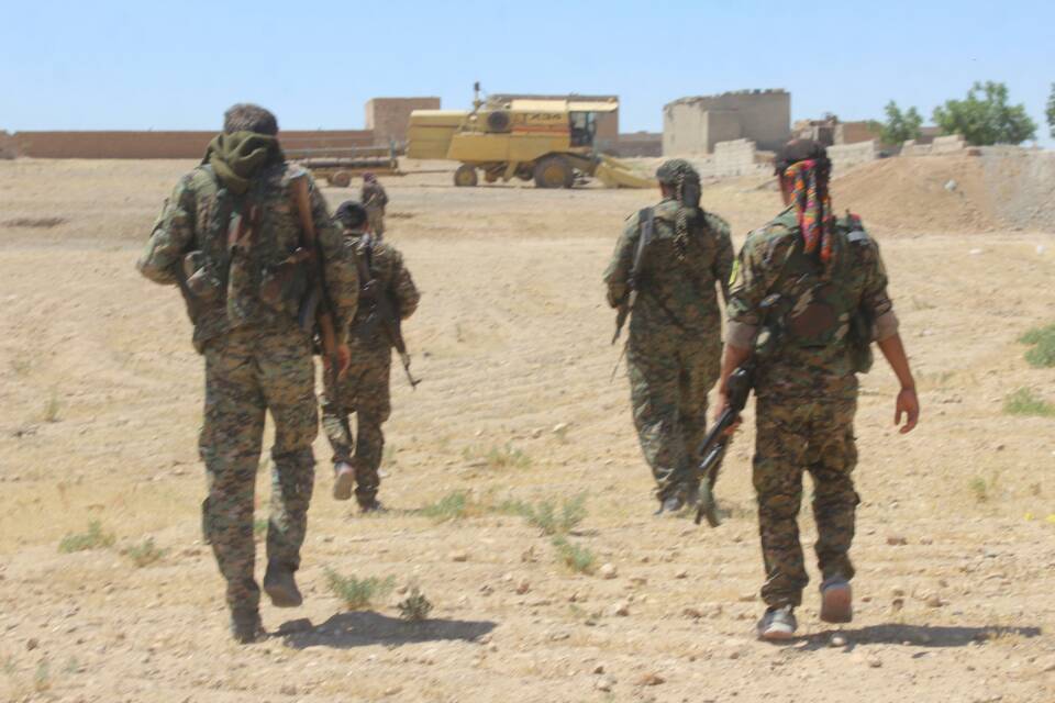 SDF-militants