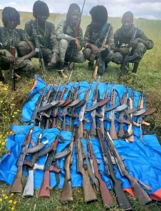 Oromo Liberation Army Released a Photo of Captured Weapons