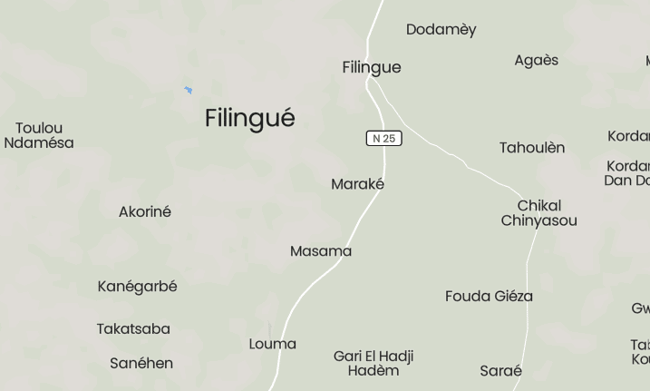 TRAC Incident Report: Islamic State Greater Sahara (ISGS) Executes a "Spy" of the Nigerien Government in Filingué, Tillaberi, Western Niger - 31 August 2022