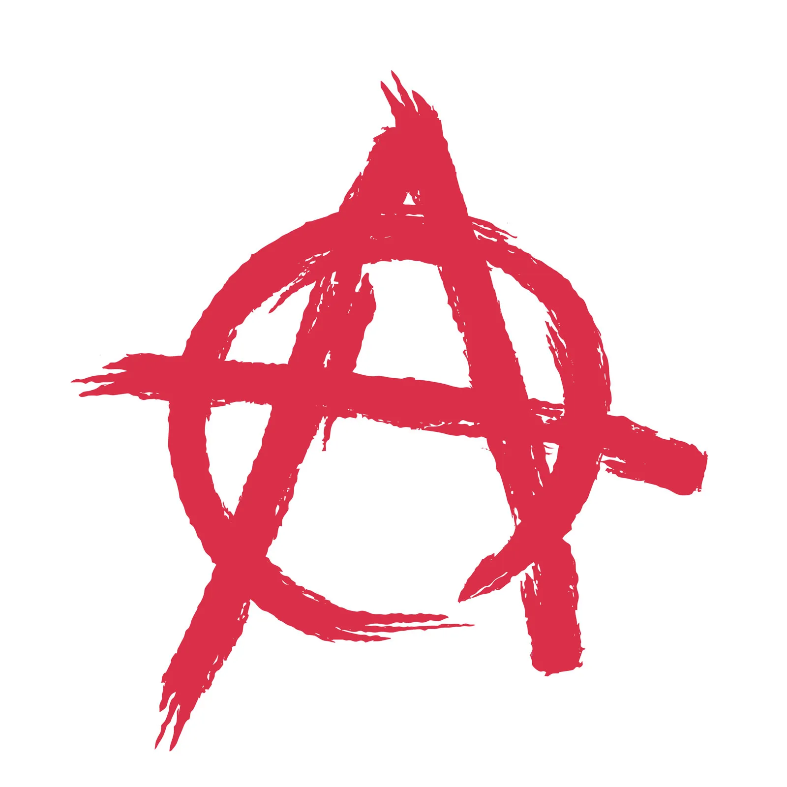 TRAC Insight: Anarchists Motivations, Targets, and Tactics; A 2022 Round Up - 3 January 2023
