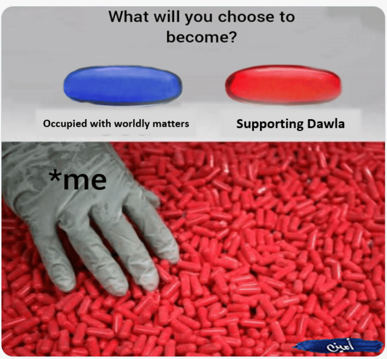(Meme) Islamic State Supporters Circulate Right-Wing Red Pill/Blue Pill Meme Mirroring Racist Propaganda - 19 January 2023