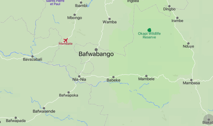 TRAC Incident Report: Suspected Islamic State Central Africa (ISCA) Armed Assault Targeting a Gold Mine in Bafwabango Town, Mambasa, Ituri Province, Congo (DRC) - 30 March 2023