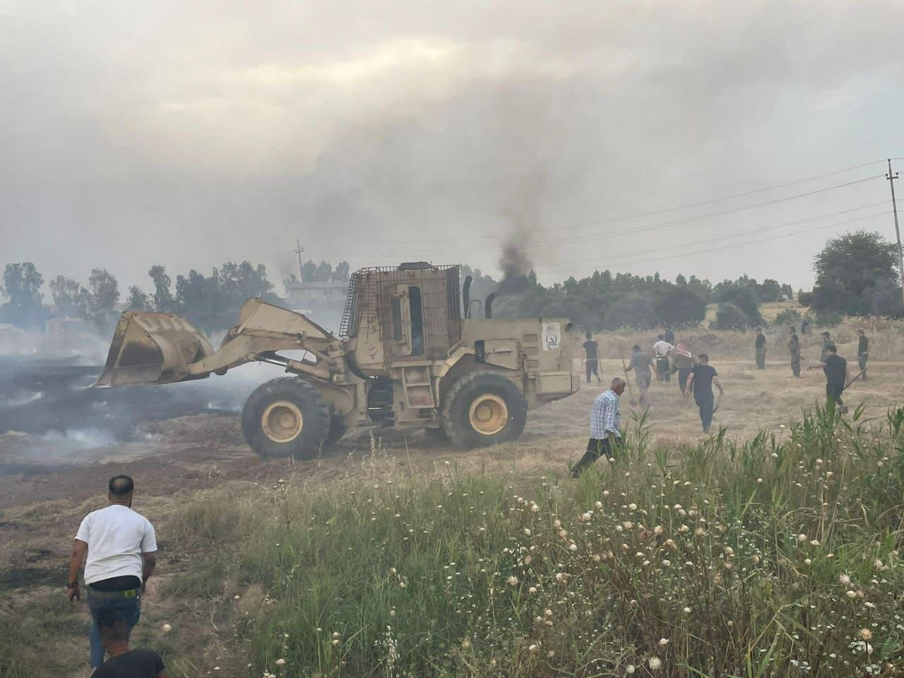 TRAC Incident Report: Suspected Islamic State “Hot Summer” Arson on Crops in the Mikhas Area of ​​Khanaqin District, Diyala, Iraq – 23 May 2023