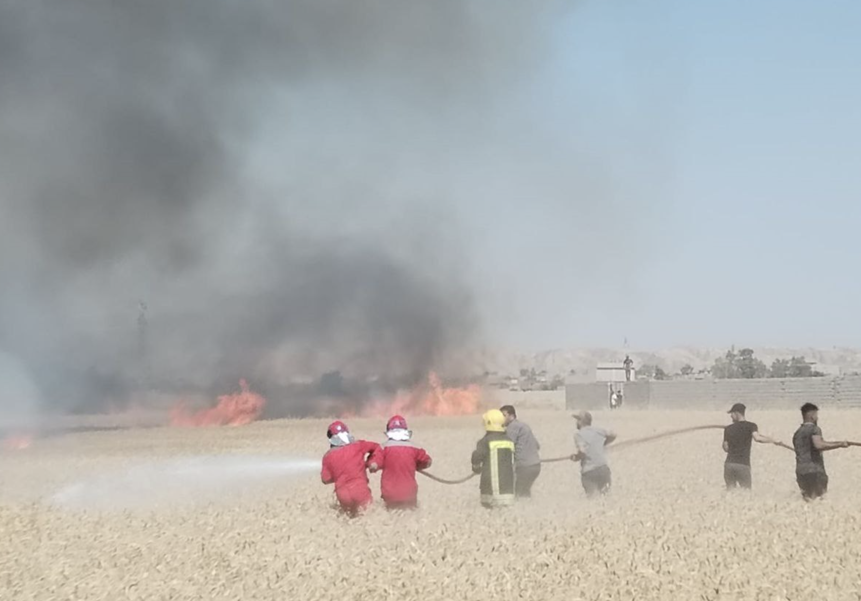 Suspected Islamic State “Hot Summer” Arson on Wheat Crops in Tuz Khurmatu, Tooz District in Saladin Governorate, Iraq - 01 June 2023