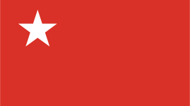 PDF Flag