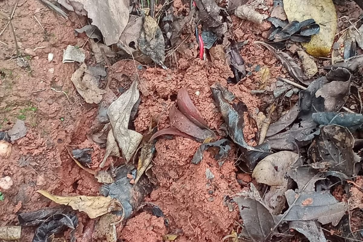 TRAC Incident Report: Security Forces Recover Three Naxalite IEDs and 18 Spike Holes in Forested Areas on Hathibhuru to Lovabeda Road, West Singhbhum Distrcit, Jharkhand, India - 7 July 2023