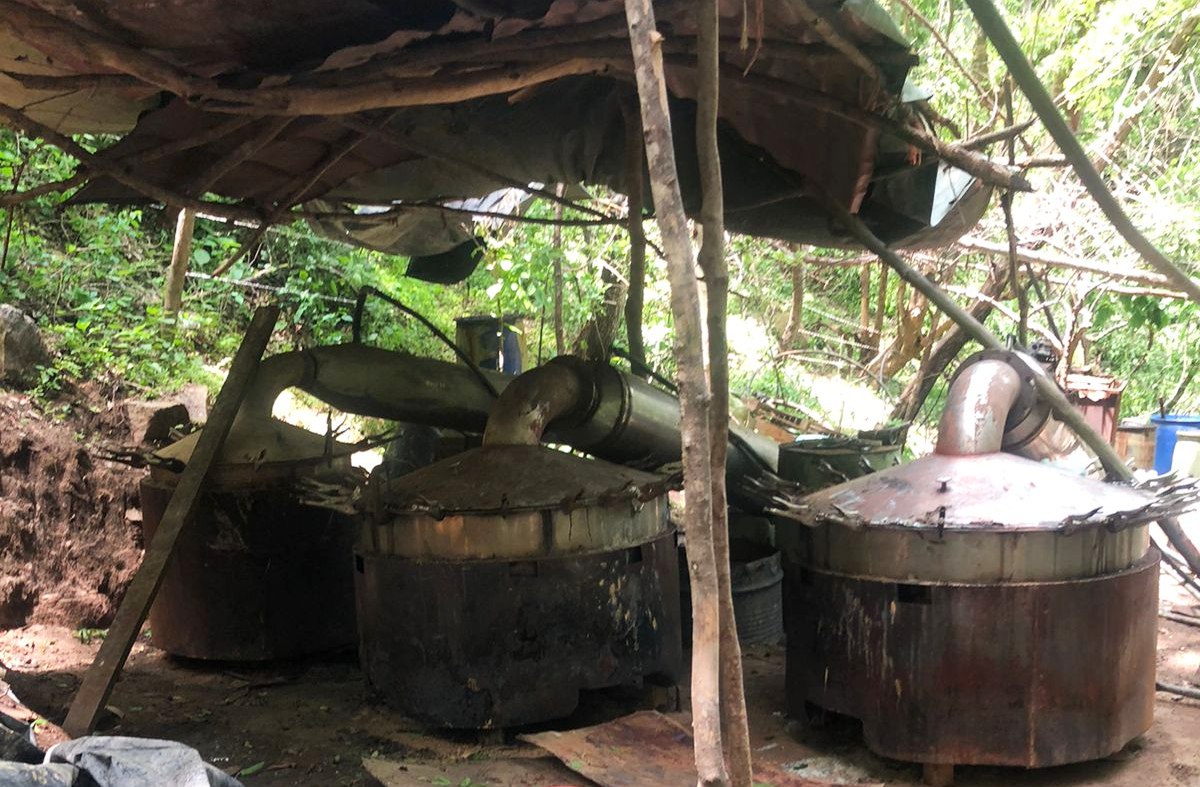 Mexican Navy Operation Leads to the Interception and Destruction of Four Drug Laboratories, Durango, Mexico - 12 August 2023