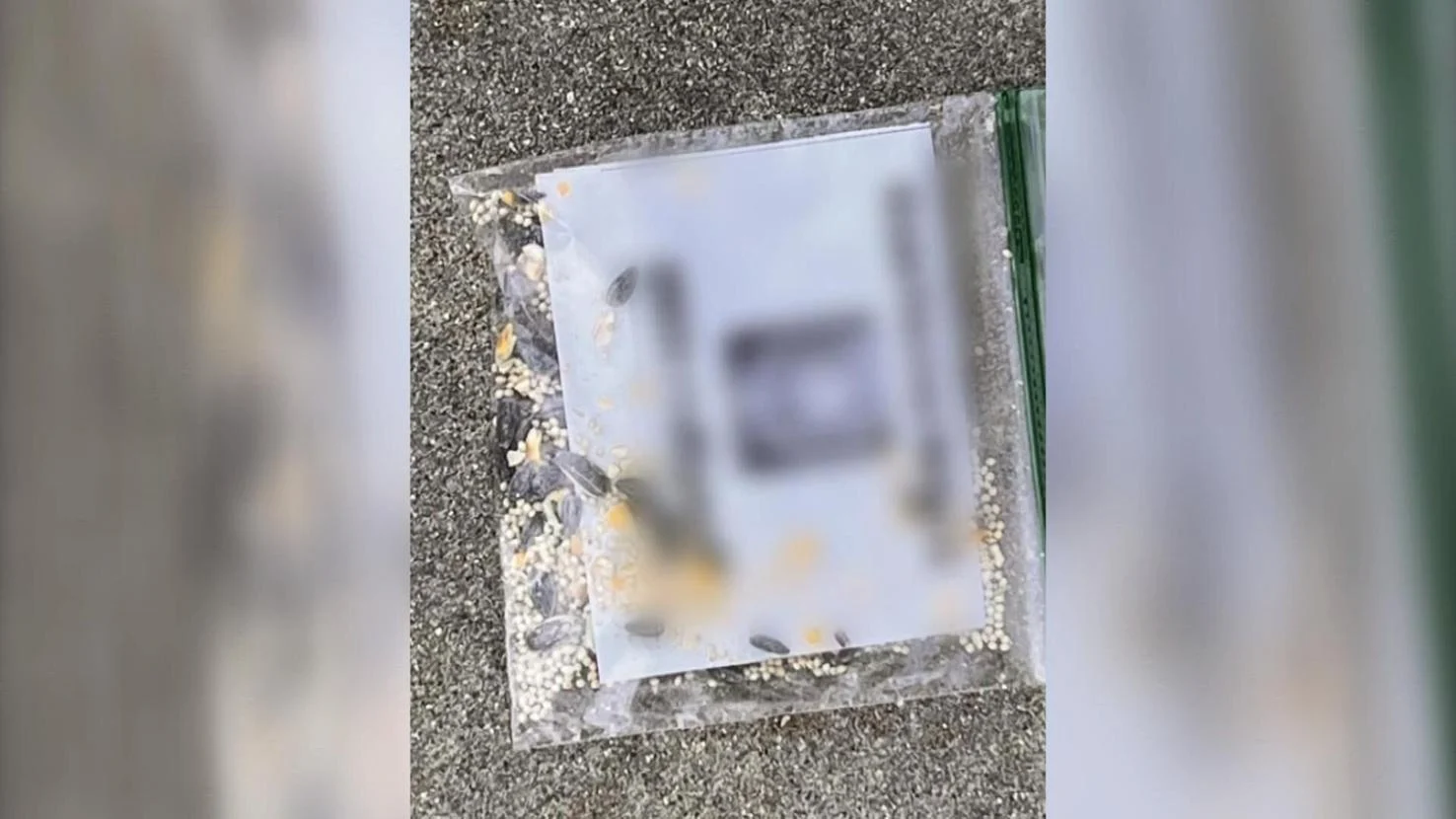 (Flyers/Right Wing Extremism) Suspected Aryan Freedom Network (AFN) White Supremacist Flyers Found in a Janesville Neighborhood, Rock County, Wisconsin, United States - 15 September 2023