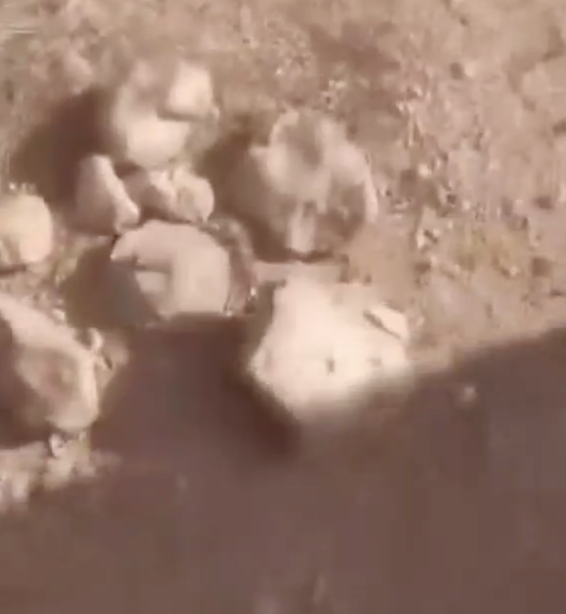 (Chatter) Truffle Hunters Discover Islamic State (IS) Rock Improvised Explosive Devices (IEDs) in the Syrian Desert [Badiya], Syria - 28 February 2024