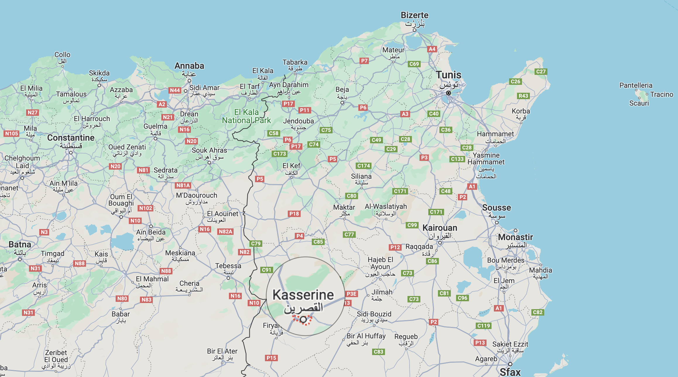 TRAC Incident Report: Tunisian Authorities Apprehended Mahmoud al-Salami, Emir of Jund al-Khilafah (Islamic State Tunisia), Kasserine, Tunisia - 19 April 2024