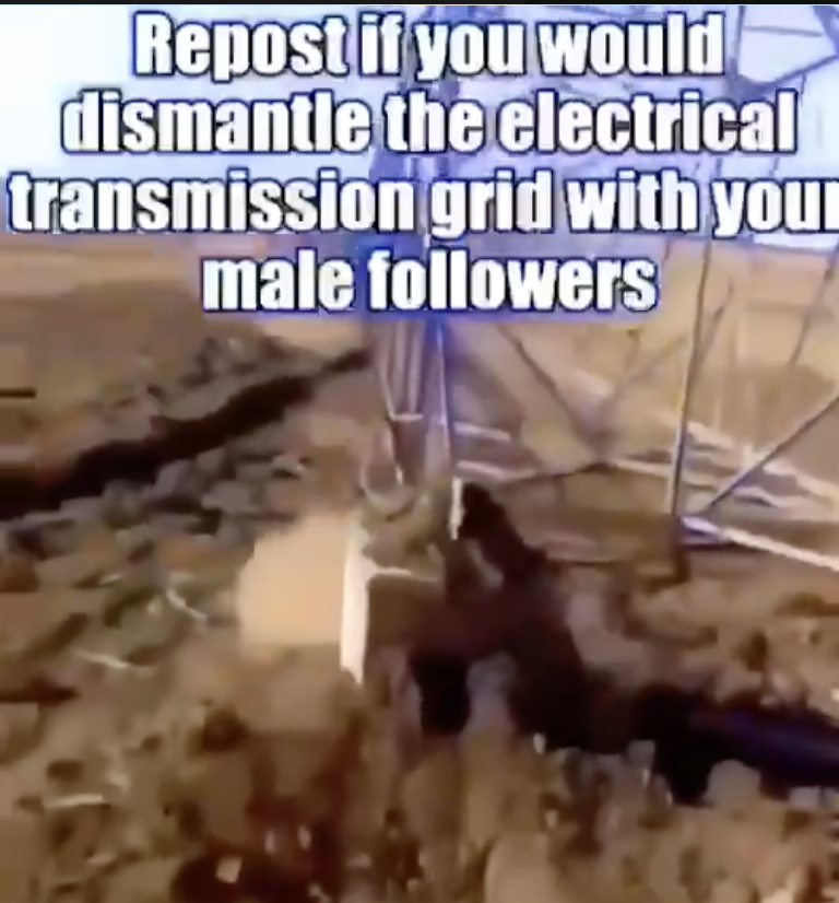 (Video / Right Wing Extremism) Eco-Fascists Circulate a Video Promoting the Targeting of Power Lines, United States – 24 May 2024