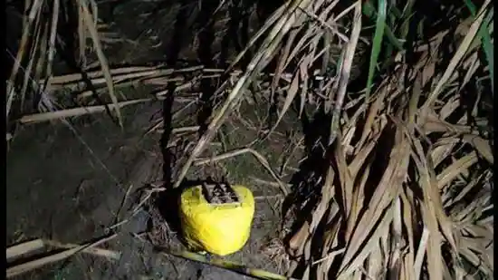 TRAC Incident Report: Naxalite-Plated Improvised Explosive Device (IED) Kills Two Children in a Forested Area in Odsapara Village, Bijapur District, Bastar Division, Chhattisgarh, India - 13 May 2024