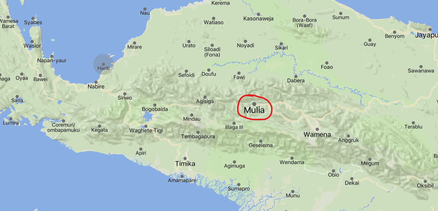 TRAC Incident Report: Free Papua Movement (OPM) Militants Shoot and Injure a Motorbike Taxi Driver in Mulia, Mulia District, Puncak Jaya Regency, Papua, Indonesia - 19 June 2024