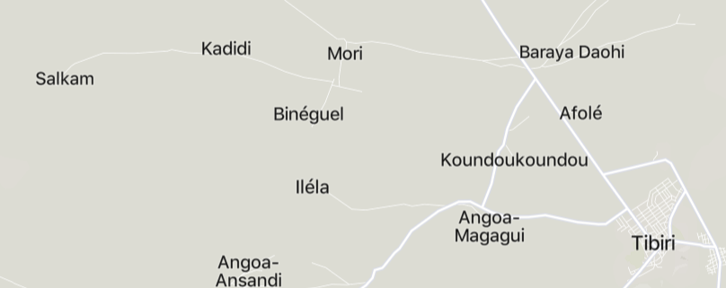 TRAC Incident Report: Suspected Jama’a Nusrat al-Islam wa ul-Muslimin (JNIM) Militants Detonated an IED Targeting Nigerien Army Forces Between Salkam and Tibiri, Dosso Region, Niger - 13 June 2024